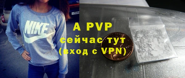ALPHA PVP Белокуриха