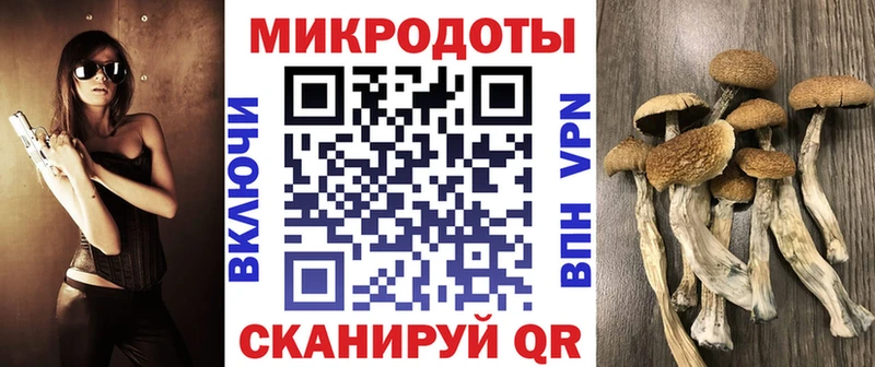 Псилоцибиновые грибы мицелий  Купить закладки  Новочебоксарск 